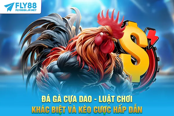 Đá Gà Cựa Dao - Luật Chơi Khác Biệt Và Kèo Cược Hấp Dẫn