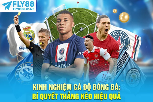 Kinh Nghiệm Cá Độ Bóng Đá: Bí Quyết Thắng Kèo Hiệu Quả