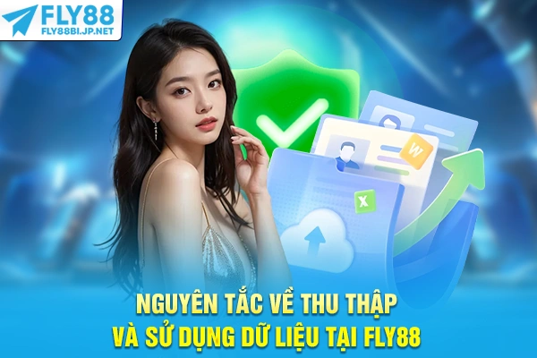 Nguyên tắc về thu thập và sử dụng dữ liệu tại FLY88